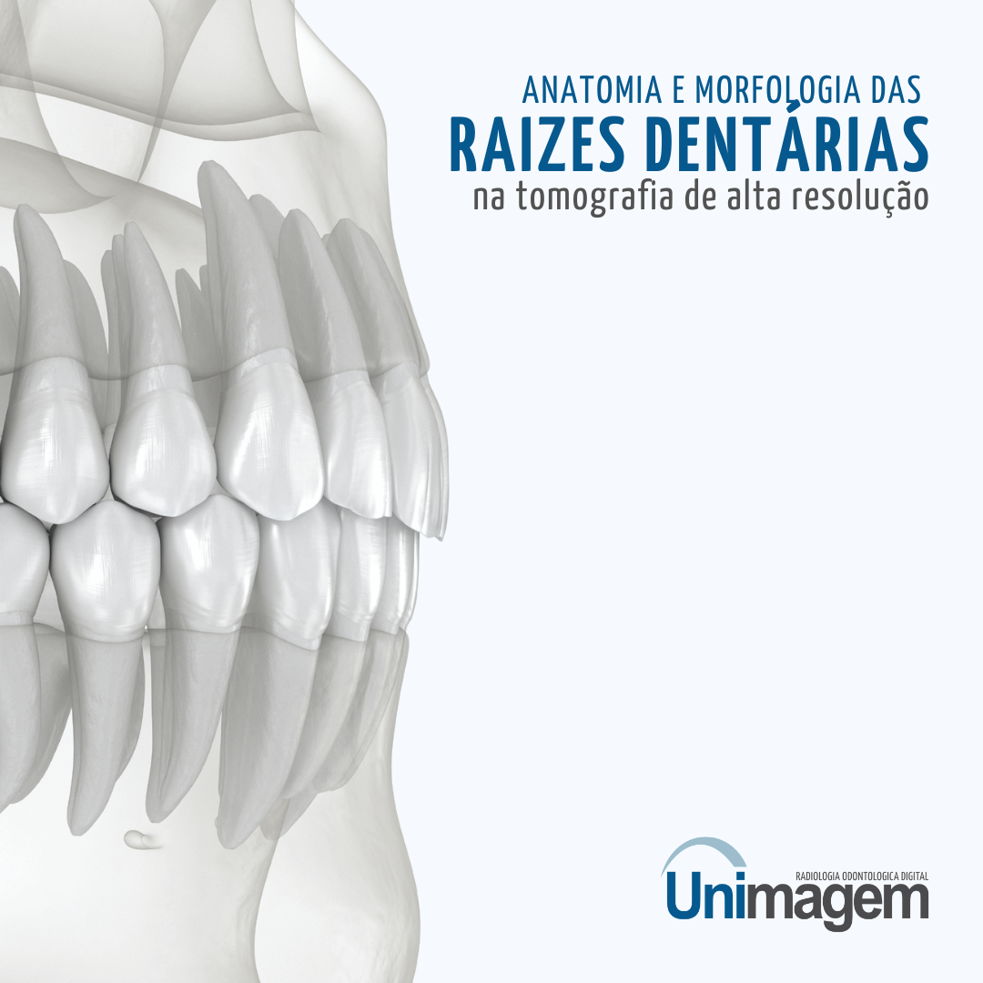 Mandíbula  Anatomia Odonto